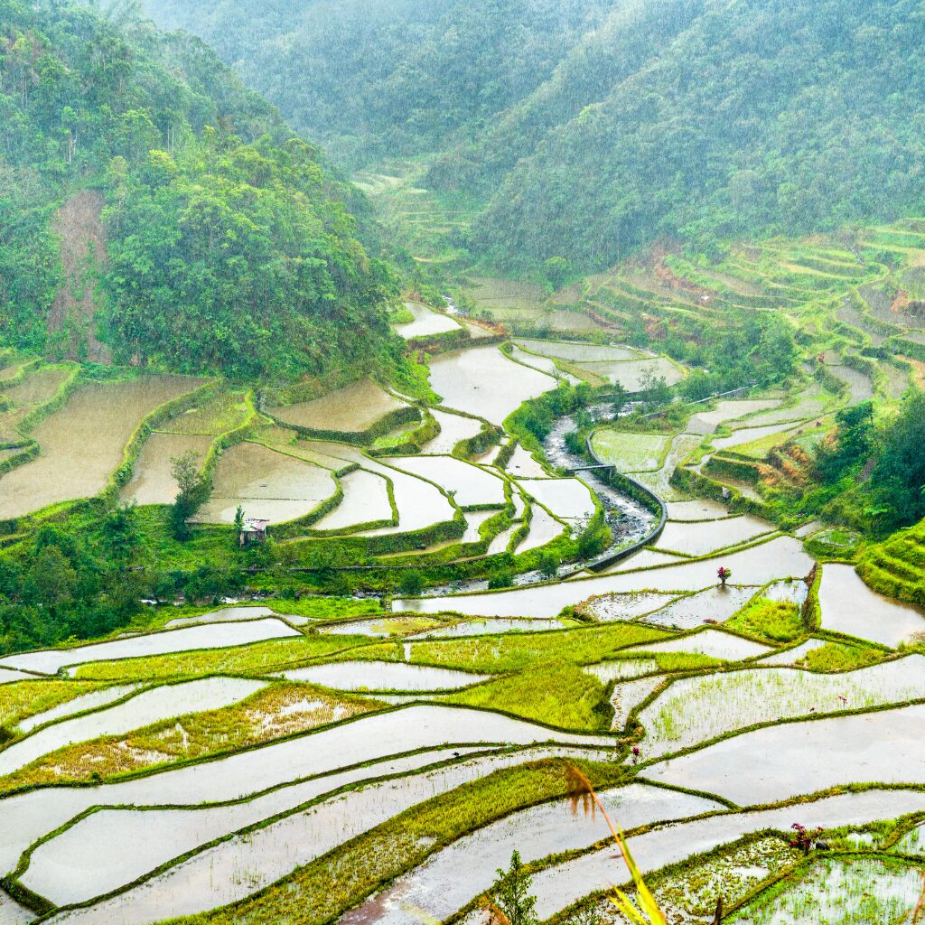 PORA DESZCZOWA NA FILIPINACH